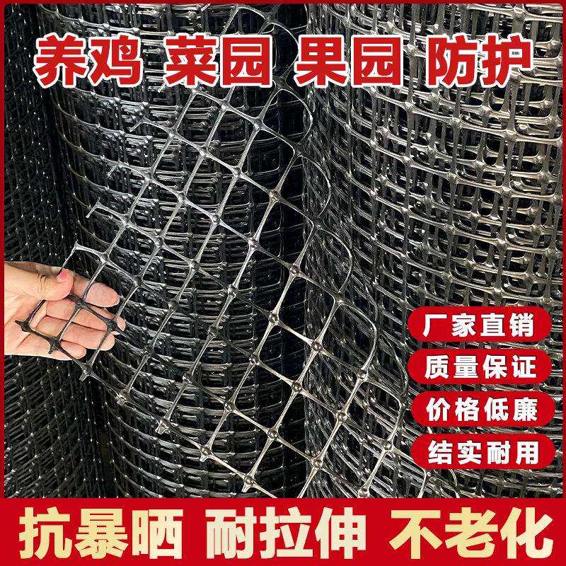 养殖网圈加厚塑料围网栏网菜园果鱼园山圈地塘玉米围栏塑料格134