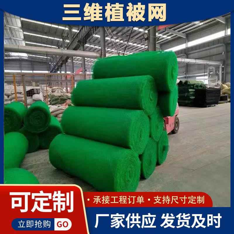 园林绿化三维植被网格固土防护三维网生态治理绿色护坡三维植草网