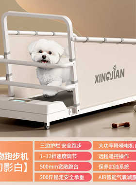 狗宠物泰走步犬跑步机机狗狗猫中小型溜犬迪用比熊跑步机