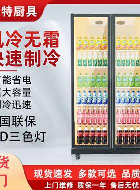网红酒水柜啤酒饮料柜酒水展示柜冷藏柜商用冷藏冰柜酒吧保鲜冰柜
