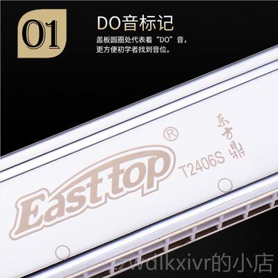 新款方鼎琴T2406S加厚2孔复音德国音簧口C调ABDEGF调成东人演奏乐