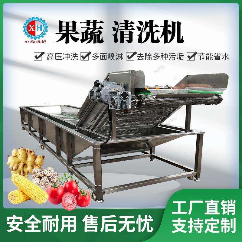 全自动果蔬气泡清洗机黄桃果蔬喷淋式清洗机6米油麦菜清洗设备