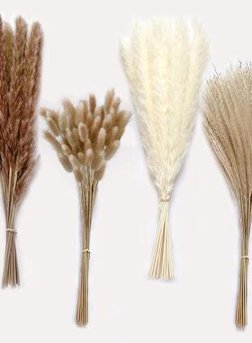 100Pcs/lot Pampas Set Decoration Fluffy Natural Living Room