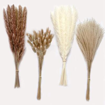 100Pcs/lot Pampas Set Decoration Fluffy Natural Living Room