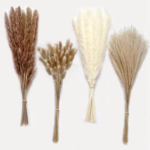 100Pcs/lot Pampas Set Decoration Fluffy Natural Living Room
