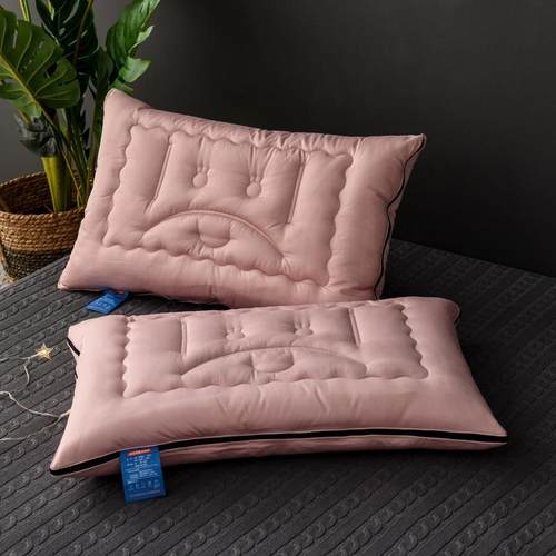 直销新款弹簧拉链款枕头超低款中等偏硬可拆卸枕芯