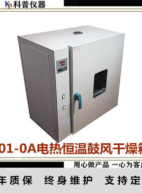 供应101-0A电热恒温干燥箱电热恒温鼓风干燥箱内胆铁板喷塑
