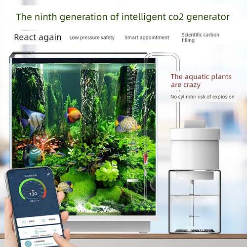 鱼缸二氧化碳发电机组二氧化碳发电机组水生植物缸组精炼厂