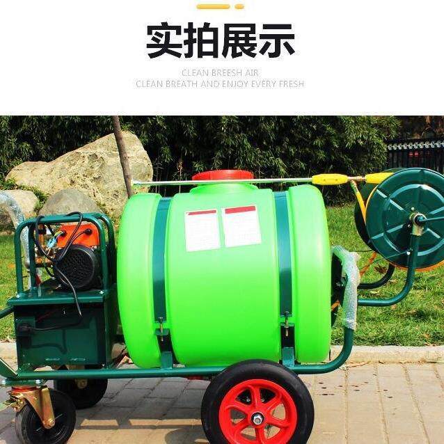 河南农用手推打药机10升推车式电动喷雾机 喷柴6油油高压园汽林雾
