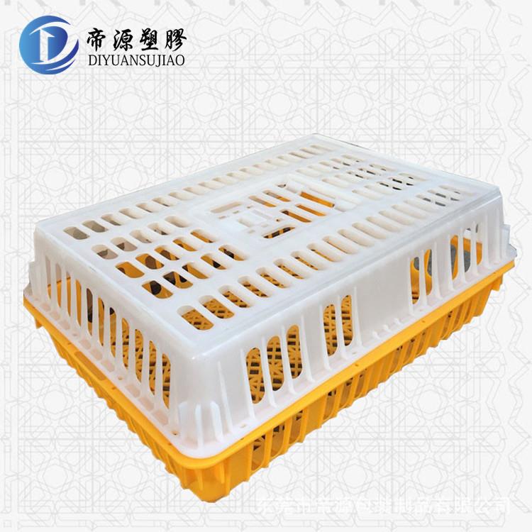 运输笼加固结实无毒耐摔塑胶鸡笼塑料鸡鸭笼厂家直销