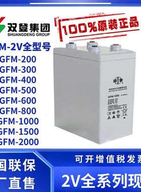 双登蓄电池GFM-500铅酸免维护通信机房应急电源直流屏300a2v500ah