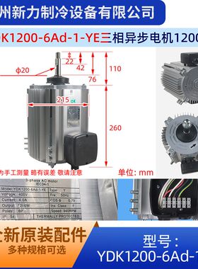 YDK1200-6Ad-1-YE适用于大金中央空调室外风机马达三相异步电机
