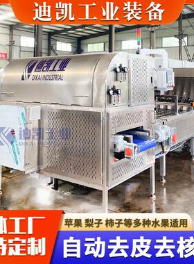 新疆大枣去皮去核机 不锈钢全自动削皮去核机 油桃去皮去核设备