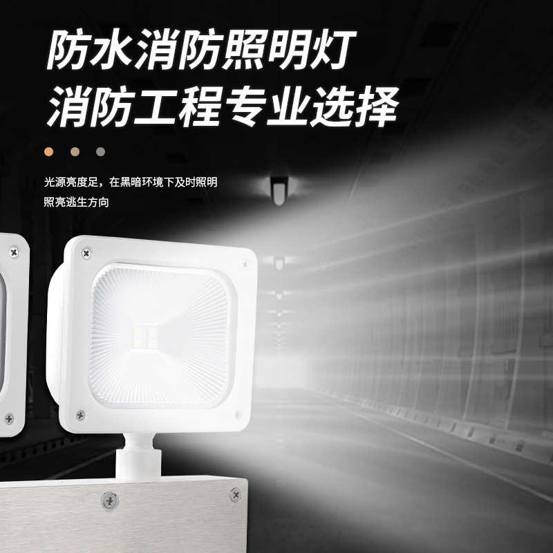 IP67防水双头灯消防应急照明灯隧道管廊冷库安全出口灯防水双头灯