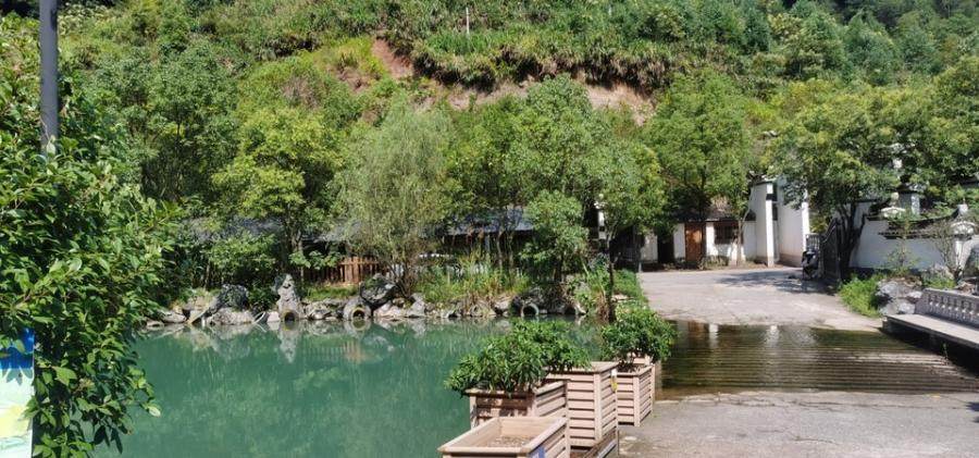 1月3日杭州度假村公司名下土地、房产、建筑物及附属设施及合同权益等网络拍卖公告