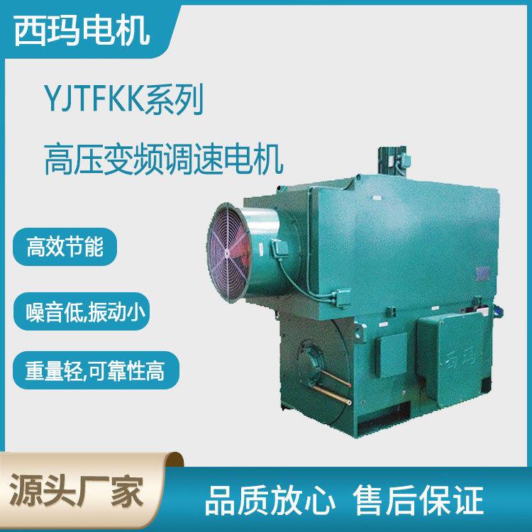 西安电机YJTF4504-10极355W低压大功率变频三相异步电动机厂图片
