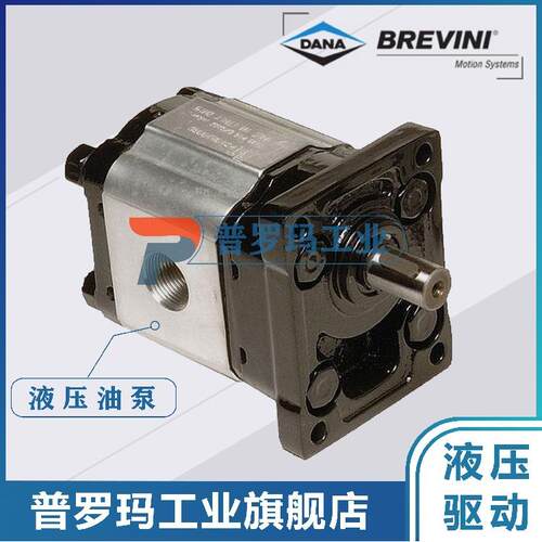 BRTVINI齿轮油泵OT100P20S/G13B0G14B0G214B0R11S1G11S1D58