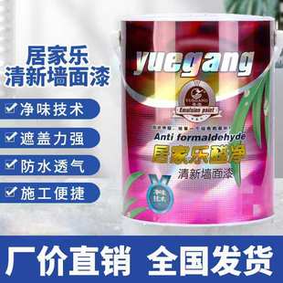 涂料粤港居家乐5升墙面漆高遮盖超白墙面漆乳胶漆刷新教室刷新内