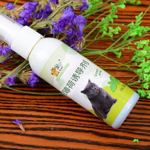 宠物用品薄荷薄荷宠物智能玩具