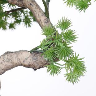 汉新款仿真真罗松盆栽中式装仿绿植盆栽客厅茶饰几仿YC076-5真绿
