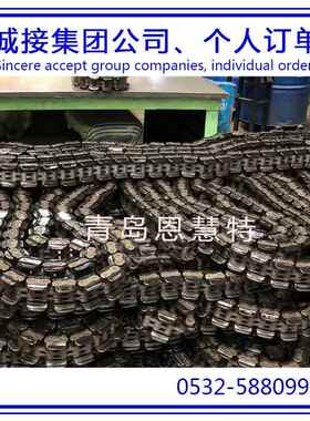 DBC东宝防锈滚子80-1 100-2 120-3单片飞轮链条工业流水线链条11