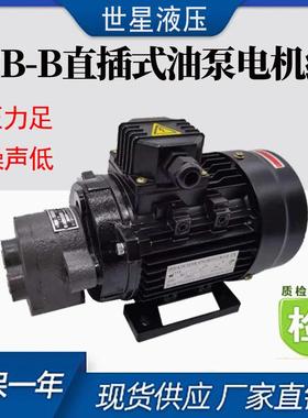液压油泵电机组CB-B100.55W液压泵总成内轴电机液压站配件系统