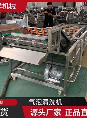 秋月梨柑橘清洗机气泡果蔬清洗设备橙子苹果全自动清洗线现货