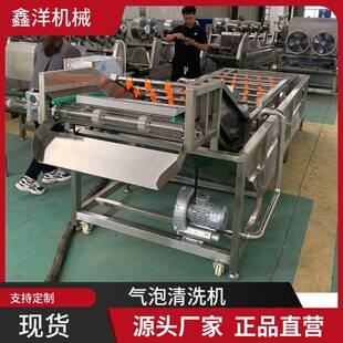秋月梨柑橘清洗机气泡果蔬清洗设备橙子苹果全自动清洗线现货