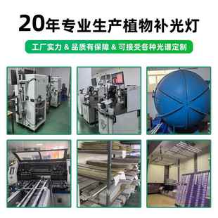 透苗镜款 多肉全LUG光谱植物生长灯T花卉上色防徒长水培育植物补8
