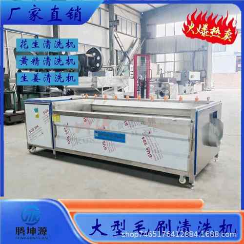 生姜黄姜毛刷清洗机茨菇松茸红薯藠头马蹄莲藕猪头猪蹄大型清洗机