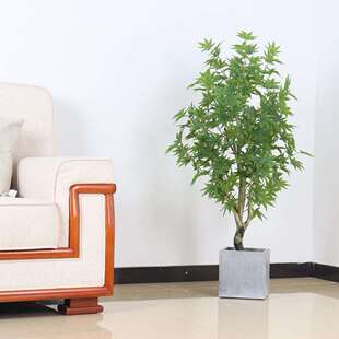 室内居家橱窗装饰银杏树枫盆景摄影造景拍摄道具塑料假树盆栽