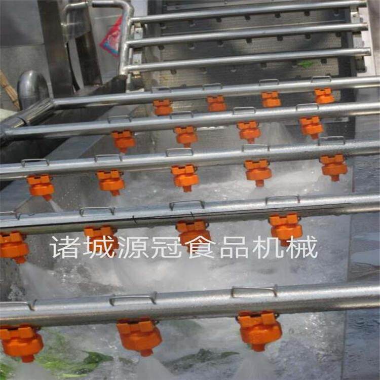 不锈钢红枣气泡清洗机 辣椒涡流清洗设备 翻浪式蔬菜洗菜机 源冠