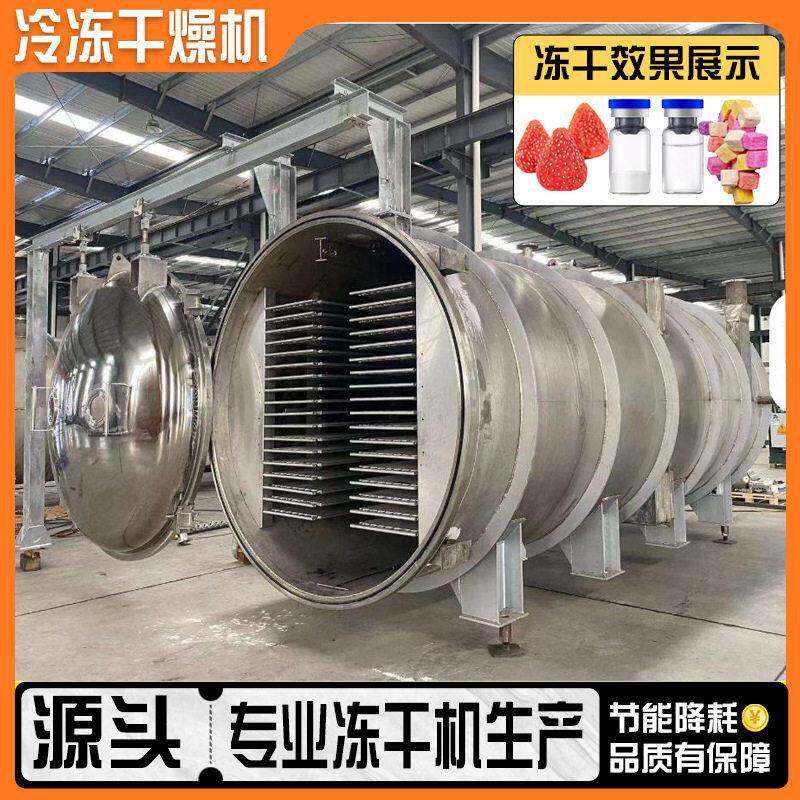 商用水果冻干机厂家全自动多功能真空冷冻干燥设备工业大型冻干机