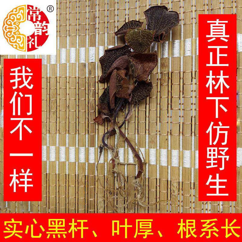 果福得林下仿野生金线莲 产地厂家漳州南靖整株干品礼盒装金线莲