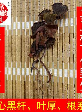 果福得林下仿野生金线莲 产地厂家漳州南靖整株干品礼盒装金线莲
