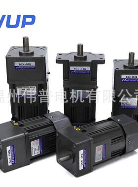 伟普定速m2000-42 6IK20NG-C微型调0速减速电机交流m200-402220v