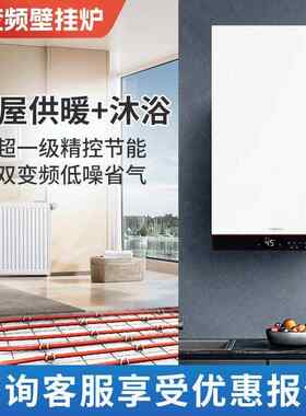 菲斯曼冷凝炉B1JG采暖热水两用壁挂炉暖气片地暖全套设备