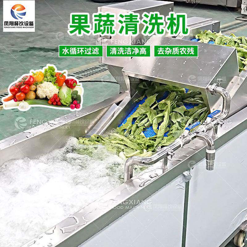 工厂直销果蔬气泡清洗机多功能洗菜机去农残去虫卵清洗设备