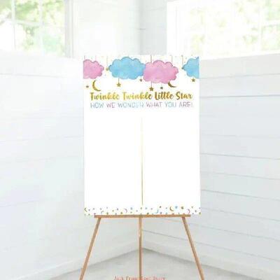 Gender Reveal Party Decorations Baby Gender Reveal Game