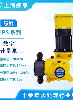 智能数字式隔膜配料泵机械隔膜计量泵DIPS M/B型加药泵