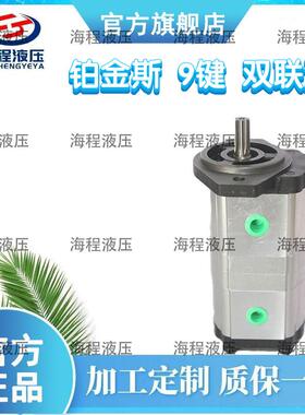 2CBWKA-F3/F3系列 雷沃G80/G70/G60铂金斯发动机配套双联泵液压泵