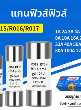 RO15熔断器10X38保险丝管R016熔芯R017 1A2A5A8A10A16A32A63A100A