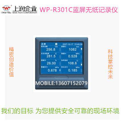 上润无纸记录仪WP-R301C12000蓝屏无纸记录仪 16路输入原厂 品质