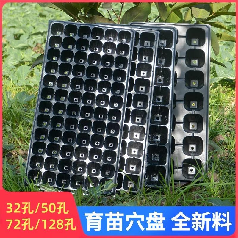 Tray for seedling cultivation, deep seedling trays for trees - 实物图