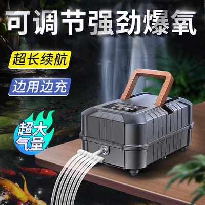 SQG养鱼卖鱼增氧机大功率氧气泵海鲜池增氧打氧摆摊专用充电两用