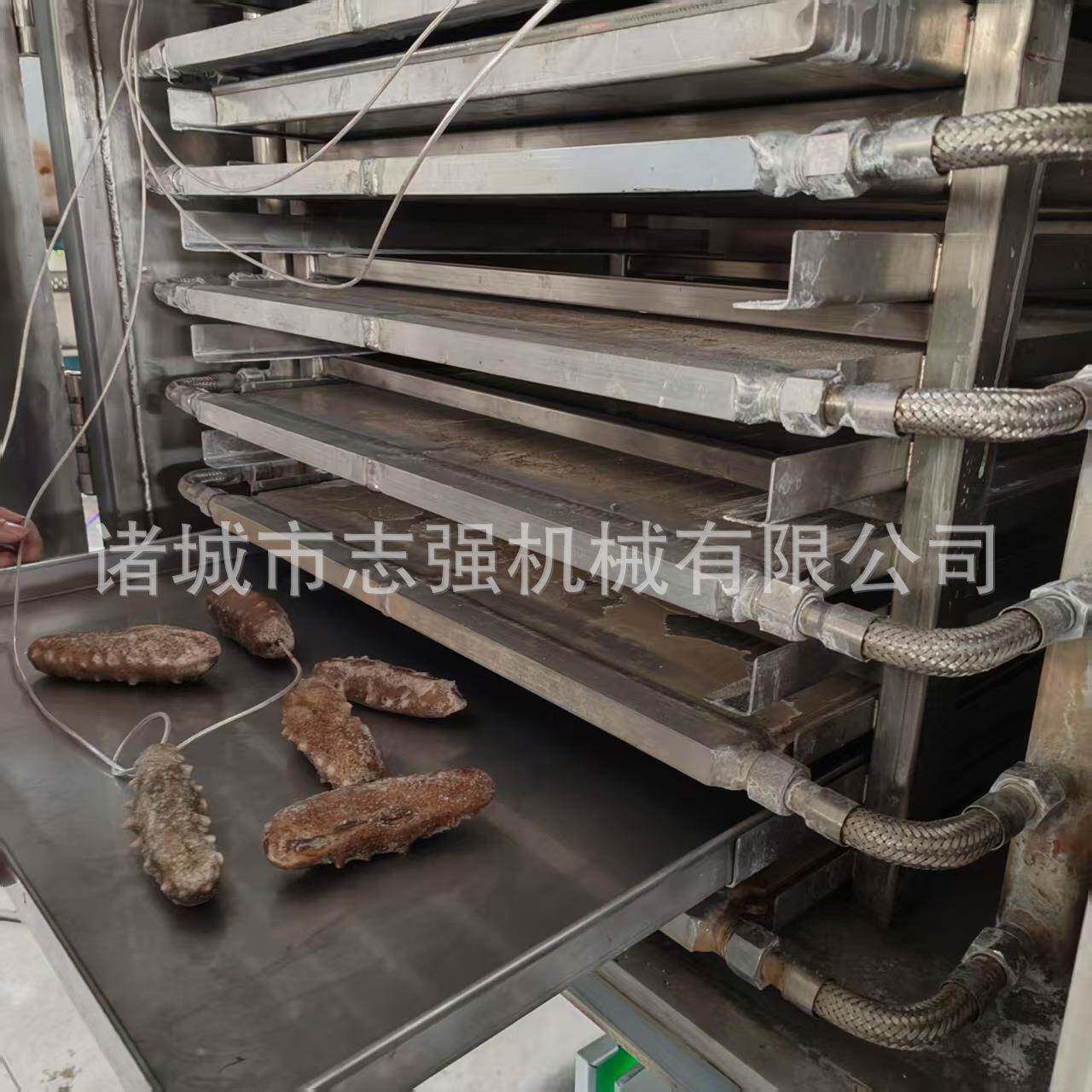 鲜炖燕窝海参真空冻干机香蕉猕猴桃低温冻干锁鲜成套设备冻干机厂