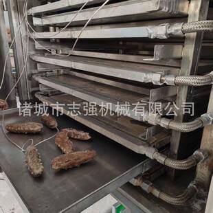 鲜炖燕窝海参真空冻干机香蕉猕猴桃低温冻干锁鲜成套设备冻干机厂