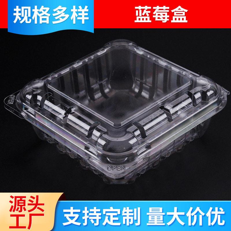 正方形STI蓝莓包装盒 桑葚杨梅水果枸杞盒一次性带透气孔果蔬盒