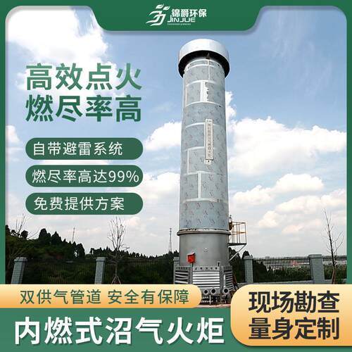 沼气工程外燃式沼气火炬 牧场垃圾填埋场燃烧废气火炬 沼气火炬