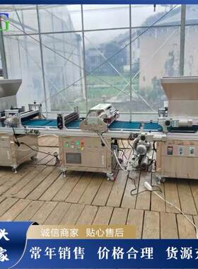 蔬菜花卉播种覆土一体机 全自动穴盘育苗机 大棚育苗设备